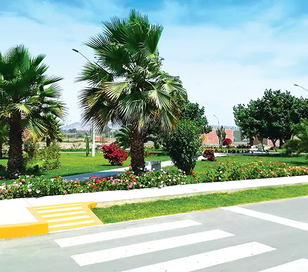 Proyecto Las Palmeras de Barranca en Barranca — Inversiones El Pino